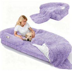LovMor Foldable Memory Foam Human Dog Bed with Removable Cover, 71 x 38 x 9-in, Purple