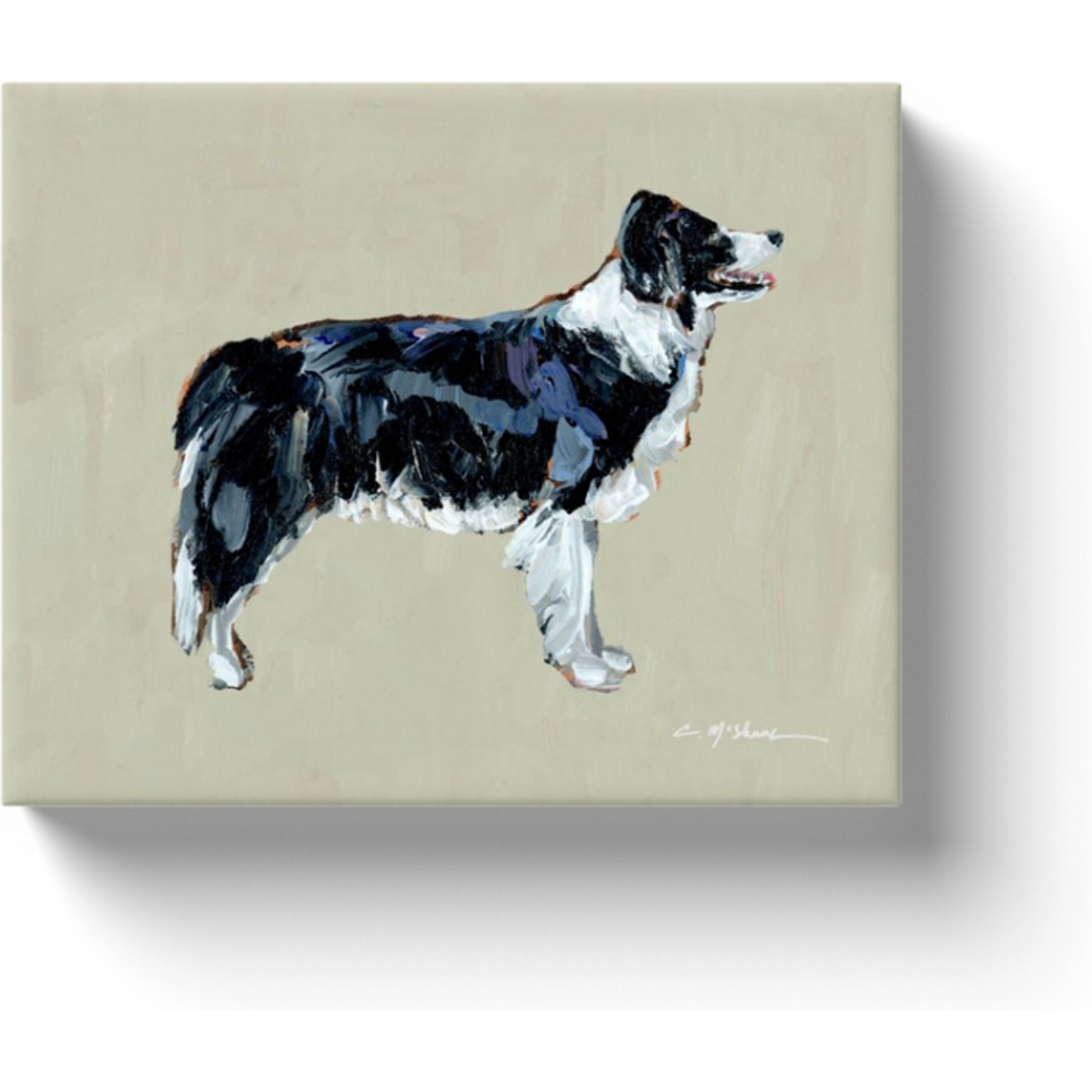 Art Barke by Chelsea McShane Art Black & White Border Collie Canvas Print, 10 x 8-in