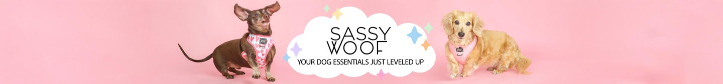 Sassy Woof Your Dog Essentials Just Leveled Up