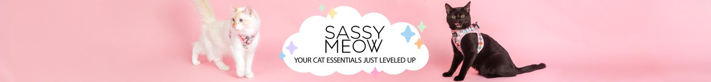 Sassy Meow Your Cat Essentials Just Leveled Up