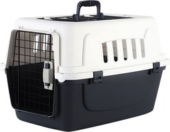 Twinsing Hard-Sided Ventilated Design Carry Handle Bag Dog & Cat Travel Carrier, Gray