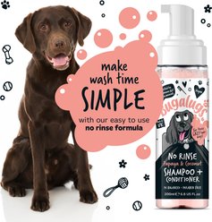 Bugalugs Pet Care Papaya Coconut No Rinse Dog Shampoo, 6.76-fl oz bottle slide 2 of 6