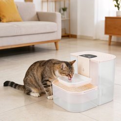 Bencmate Smart Automatic Plastic Cat Water Dispenser with Dual Tank, Beige, Medium: 15.84-cup