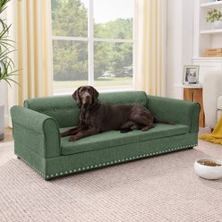 Bencmate Oversized Elegant Modern Elevated Novelty Dog Bed Sofa, Green