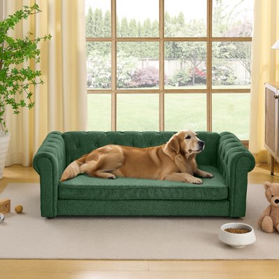 Bencmate Bencmate Elegant Rectangular Durable Elevated Novelty Dog Bed, Green