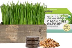The Cat Ladies Cat Grass Kit & Decorative Wood Planter, Brown