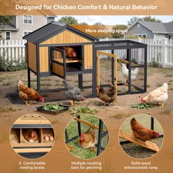 Petsfit Vertical Stripes Wooden 2-Story Chicken Coop with Run & 2 Nesting Boxes, Large, 4 to 6 Chicken Capacity, 71 x 42 x 45-in slide 2 of 8