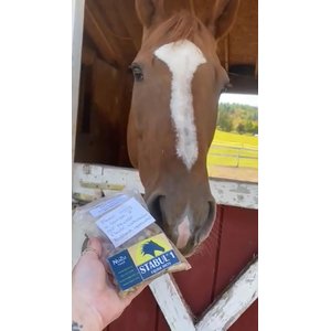 Stabul 1 Equine Diets Fenugreek Low Sugar, Low Starch Horse Feed, 40-lb bag
