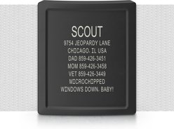 DOG iD Laser Engraved Stainless Steel Silent Personalized Dog ID Tag, Graphite, 1.50-in slide 1 of 6