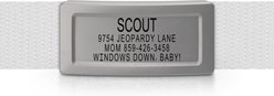 DOG iD Laser Engraved Stainless Steel Silent Personalized Dog ID Tag, Slate, 0.5-in