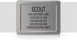 DOG iD Laser Engraved Stainless Steel Silent Personalized Dog ID Tag, Slate, 1-in