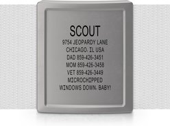 DOG iD Laser Engraved Stainless Steel Silent Personalized Dog ID Tag, Slate, 1.50-in