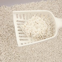 THE LICKER STORE Ultra Absorbent Fast Clumping Flushable Unscented Tofu Cat Litter, 8-lb bag, bundle of 4 slide 2 of 6