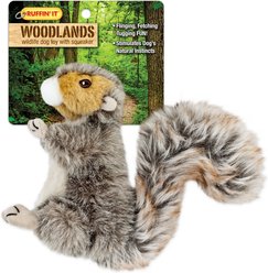 RUFFIN' IT Woodlands Squirrel Squeaky Plush Dog Toy, Multicolor, Small