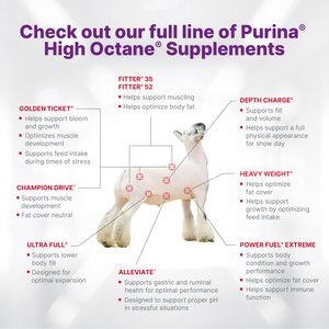 Purina Animal Nutrition Honor Show Showlamb Grower 15% DX Sheep Feed, 50-lb bag