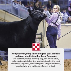 Purina Animal Nutrition Honor Show Fitter’s Edge 13 DX Cattle Feed, 50-lb bag