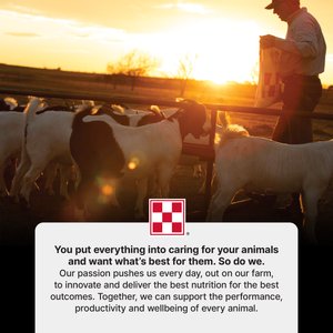 Purina Goat Grower 16 Plus Up DQ.0015 Pellets Goat Feed, 50-lb bag