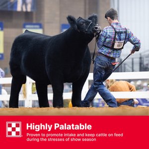 Purina Honor Show Full Range 12 TXT DX High Fiber Cattle Feed, 50-lb bag