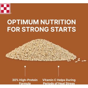 Purina Game Bird Starter 30% Protein Crumbles Poultry Feed, 50-lb bag