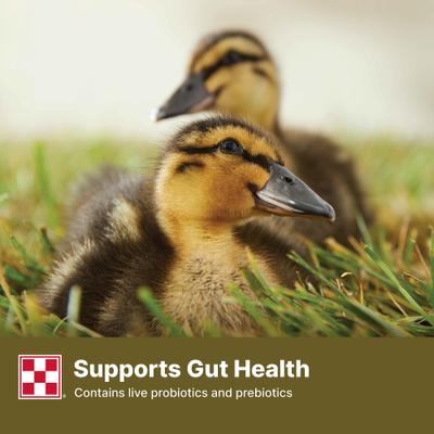 Show full view: Purina 19% Protein Pellets Duck Feed, 40-lb bag slide 7 of 9
