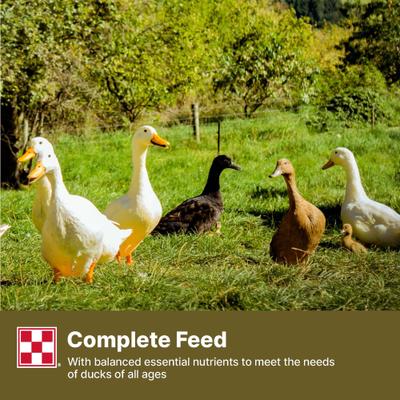 Show full view: Purina 19% Protein Pellets Duck Feed, 40-lb bag slide 8 of 9
