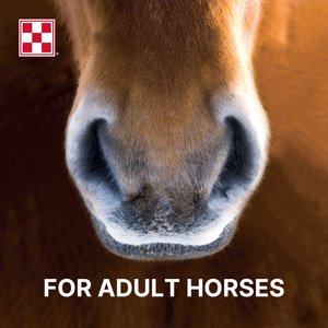 Purina Animal Nutrition Apple & Oat Horse Treats, 15-lb bag