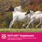 Show in main carousel: Purina Miniature Horse & Pony Feed, 50-lb bag slide 6 of 8
