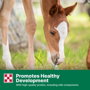 Purina Omolene 300 Mare & Foal Horse Feed, 50-lb bag