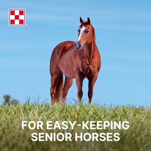 Purina Enrich Plus Senior Ration Balancer Horse Feed, 50-lb bag