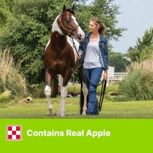 Purina Animal Nutrition Apple & Oat Horse Treats, 15-lb bag