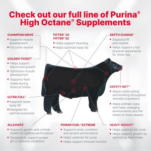 Purina Animal Nutrition Honor Show Fitter’s Edge 13 DX Cattle Feed, 50-lb bag