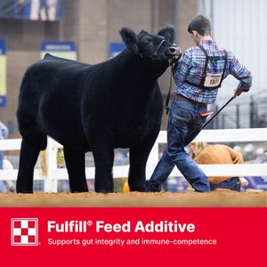 Purina Animal Nutrition Honor Show Fitter’s Edge 13 DX Cattle Feed, 50-lb bag
