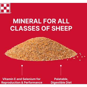Purina Sheep Mineral, 50-lb bag