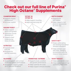 Purina Honor Show Full Range 12 TXT DX High Fiber Cattle Feed, 50-lb bag