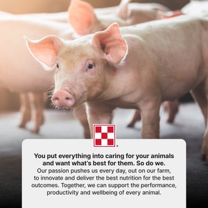 Purina Nature's Match Sow & Pig Complete Pellets Swine Feed, 50-lb bag