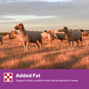 Purina Delta Lamb & Ewe Breeder DX30 Pellets Sheep Feed, 50-lb bag
