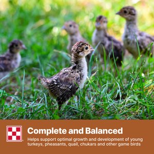 Purina Game Bird Starter 30% Protein Crumbles Poultry Feed, 50-lb bag
