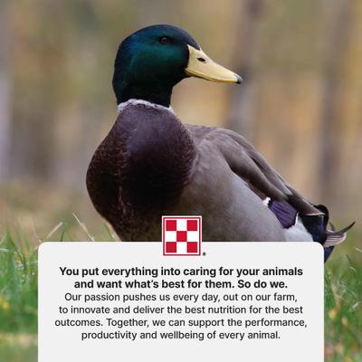 Show full view: Purina 19% Protein Pellets Duck Feed, 40-lb bag slide 9 of 9
