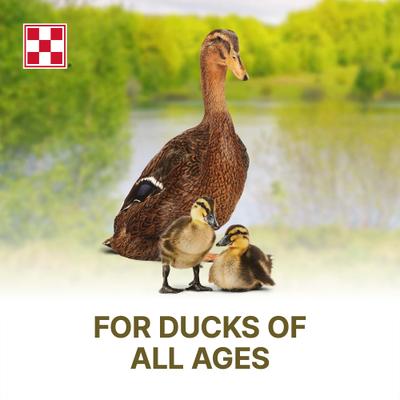 Show full view: Purina 19% Protein Pellets Duck Feed, 40-lb bag slide 5 of 9