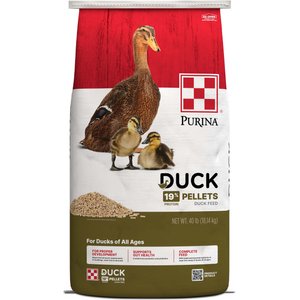 Purina 19% Protein Pellets Duck Feed, 40-lb bag