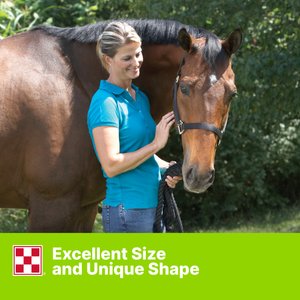 Purina Animal Nutrition Apple & Oat Horse Treats, 15-lb bag