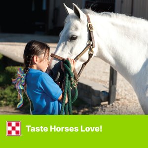 Purina Animal Nutrition Apple & Oat Horse Treats, 15-lb bag