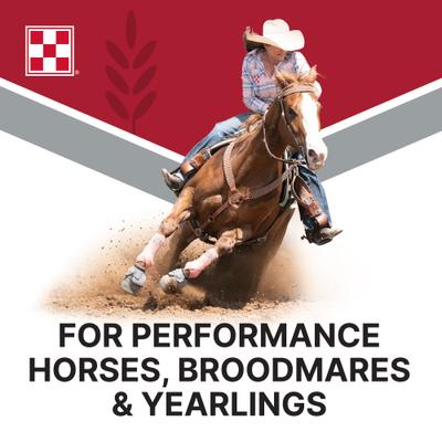 Show full view: Purina Omolene 200 Performance Horse Feed, 50-lb bag slide 5 of 9