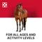 Show in main carousel: Purina Strategy Professional Formula GX Horse Feed, 50-lb bag slide 5 of 9