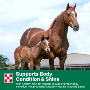 Purina Omolene 300 Mare & Foal Horse Feed, 50-lb bag