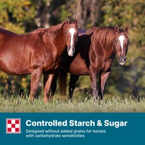 Purina Enrich Plus Senior Ration Balancer Horse Feed, 50-lb bag
