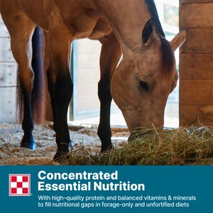 Purina Enrich Plus Senior Ration Balancer Horse Feed, 50-lb bag