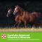 Show in main carousel: Purina Enrich Plus Ration Balancer Horse Feed, 50-lb bag slide 6 of 9