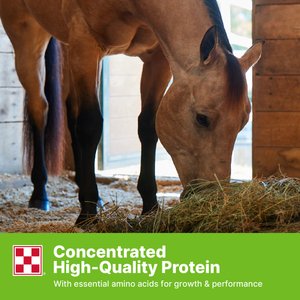 Purina Enrich Plus Ration Balancer Horse Feed, 50-lb bag