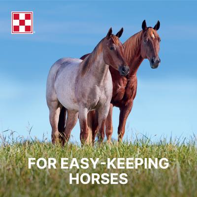 Show full view: Purina Enrich Plus Ration Balancer Horse Feed, 50-lb bag slide 4 of 9